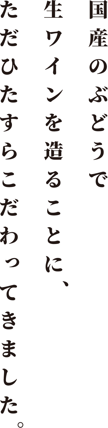 国産のぶどうで生ワインをつくることにただひたすらこだわってきました。 Making raw wine using domestically grown grapes I’ve been paying close attention to it.
